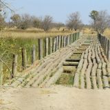 Solide Bruecke… die einzige noch gute Bruecke im Moremi Park
