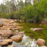 Durch Algenbewuchs, grüngefärbte Bäche im Mount Remarkable Nationalpark
